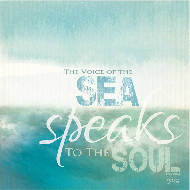 The Voice Of The Sea Mild Art Taste Style! The Voice Of The Sea Mild Art Taste Style!